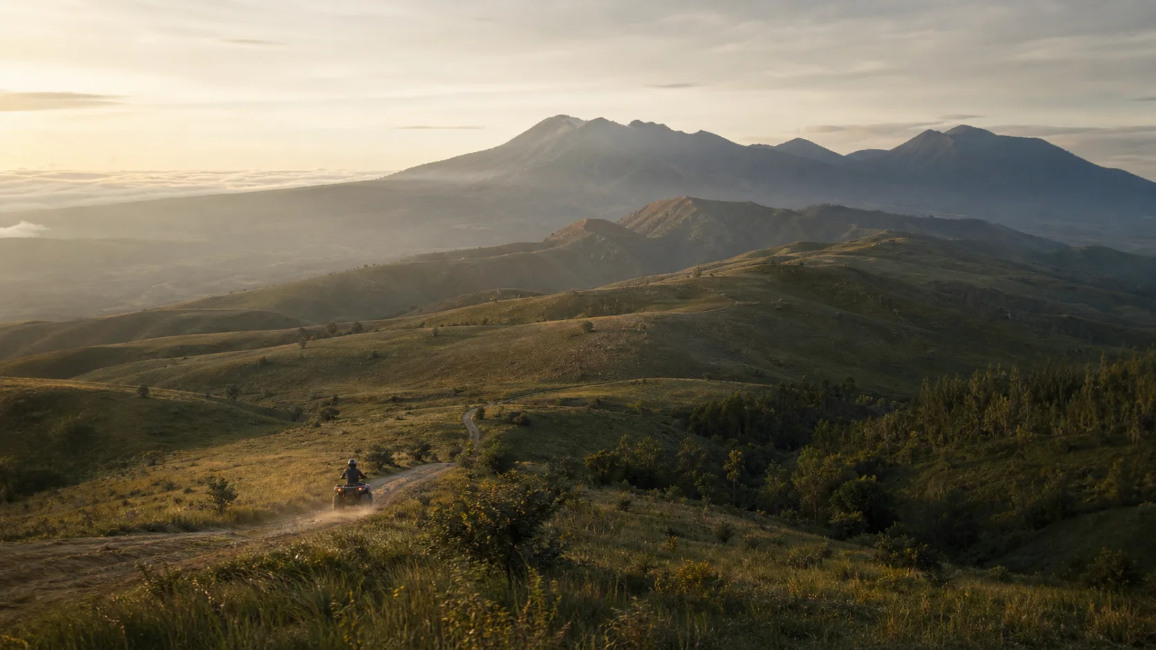Temukan petualangan, ruang berkumpul, dan rasa Banyuwangi dalam satu tempat.